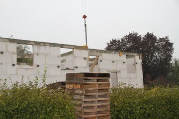 IMG 3117