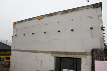 IMG 3155