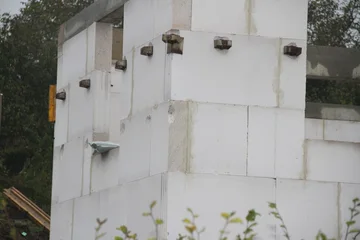 IMG 3111