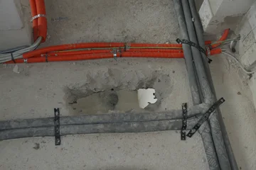 IMG 3486